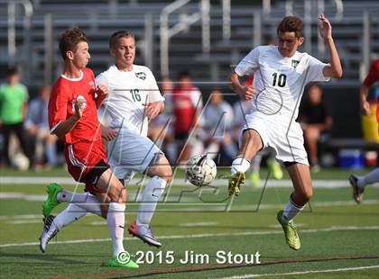 Thumbnail 3 in Somers @ Brewster photogallery.