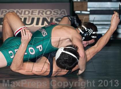 Thumbnail 1 in Bella Vista @ Ponderosa photogallery.