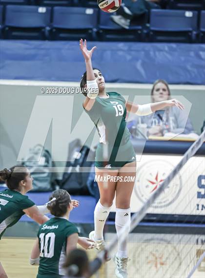 Thumbnail 3 in Foster vs. Stratford (UIL 6A D2 Girls Volleyball  Area) photogallery.