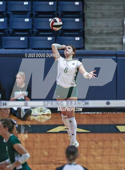 Thumbnail 1 in Foster vs. Stratford (UIL 6A D2 Girls Volleyball  Area) photogallery.