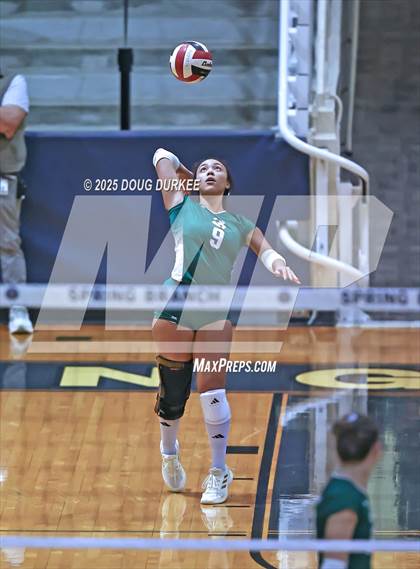 Thumbnail 3 in Foster vs. Stratford (UIL 6A D2 Girls Volleyball  Area) photogallery.