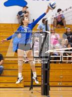 Photo from the gallery "Linden @ Bear Creek"