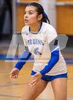 Photo from the gallery "Linden @ Bear Creek"