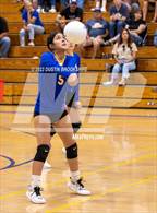 Photo from the gallery "Linden @ Bear Creek"