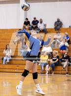 Photo from the gallery "Linden @ Bear Creek"