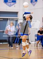 Photo from the gallery "Linden @ Bear Creek"