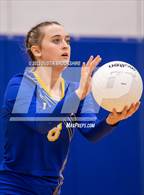 Photo from the gallery "Linden @ Bear Creek"