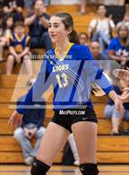 Photo from the gallery "Linden @ Bear Creek"