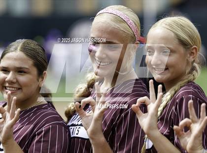 Thumbnail 1 in Andrews vs. Calallen (UIL Softball 4A D1 Final) photogallery.