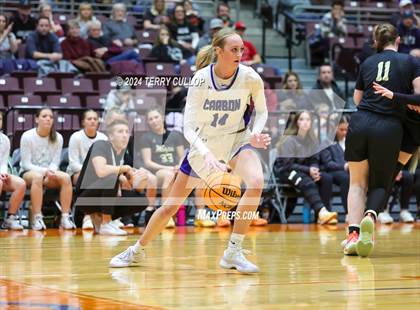 Thumbnail 2 in Carbon vs. Juab (UHSAA 3A Quarterfinal) photogallery.