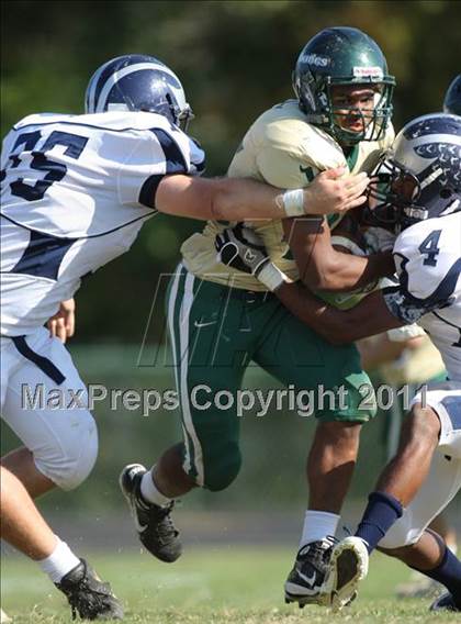 Thumbnail 1 in Osbourn @ Loudoun Valley photogallery.