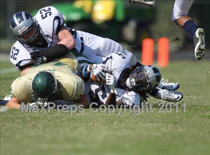 Thumbnail 1 in Osbourn @ Loudoun Valley photogallery.