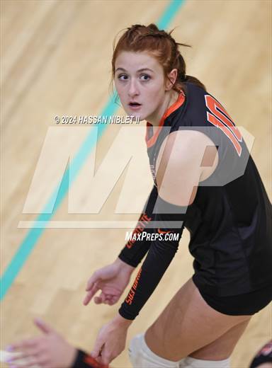 null - Photo 01