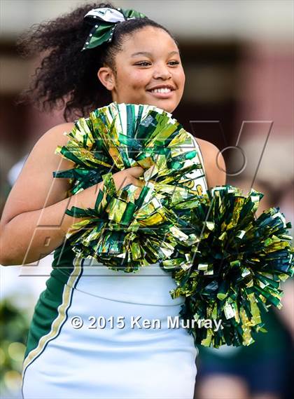 Thumbnail 2 in Cypress Falls vs Cypress Woods photogallery.