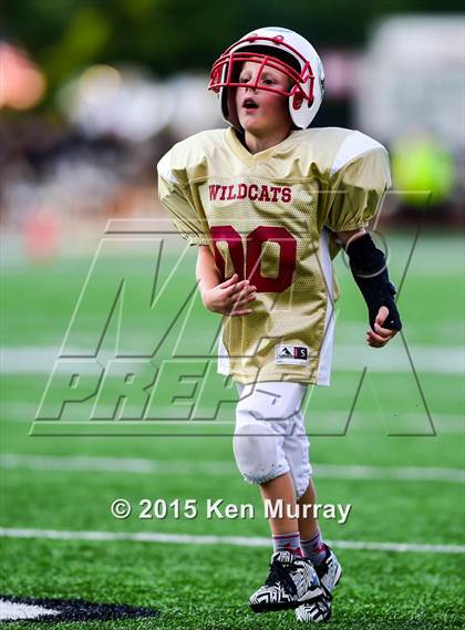 Thumbnail 2 in Cypress Falls vs Cypress Woods photogallery.