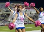 Photo from the gallery "Sterling @ West Brook"
