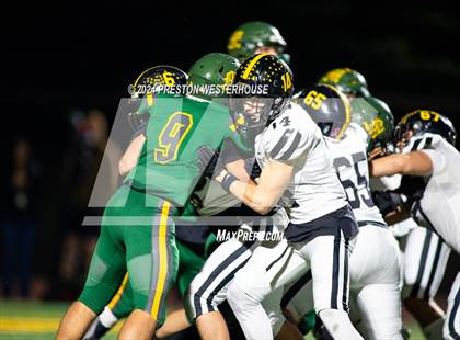 Thumbnail 1 in Foothill @ Moorpark photogallery.