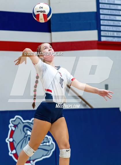Thumbnail 1 in Pine Forest @ Terry Sanford photogallery.