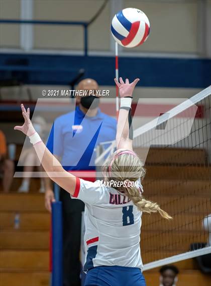 Thumbnail 3 in Pine Forest @ Terry Sanford photogallery.