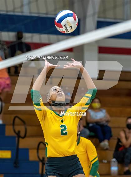 Thumbnail 2 in Pine Forest @ Terry Sanford photogallery.
