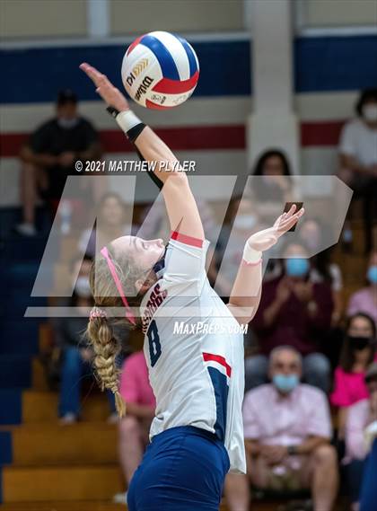 Thumbnail 2 in Pine Forest @ Terry Sanford photogallery.