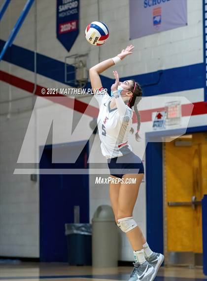 Thumbnail 3 in Pine Forest @ Terry Sanford photogallery.