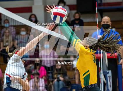 Thumbnail 1 in Pine Forest @ Terry Sanford photogallery.