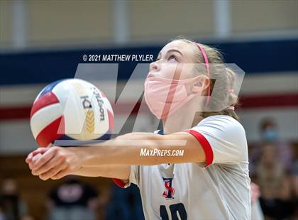 Thumbnail 3 in Pine Forest @ Terry Sanford photogallery.