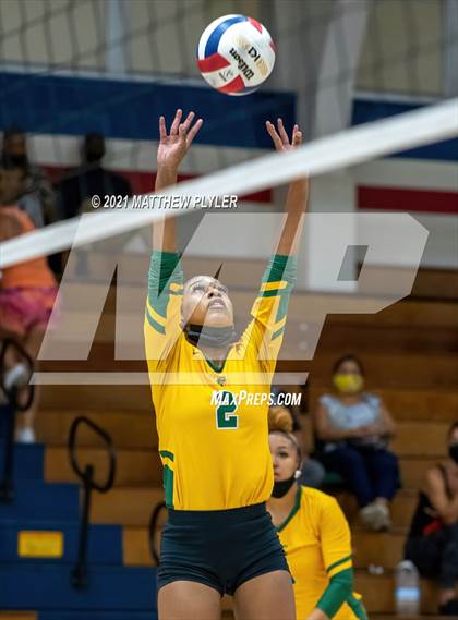 Thumbnail 3 in Pine Forest @ Terry Sanford photogallery.