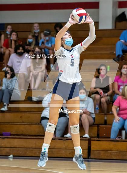 Thumbnail 3 in Pine Forest @ Terry Sanford photogallery.