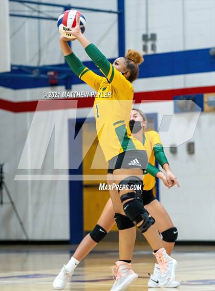 Thumbnail 3 in Pine Forest @ Terry Sanford photogallery.