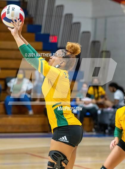 Thumbnail 3 in Pine Forest @ Terry Sanford photogallery.