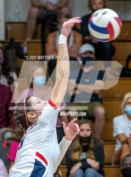Thumbnail 3 in Pine Forest @ Terry Sanford photogallery.