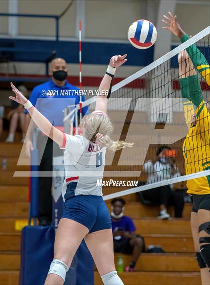 Thumbnail 1 in Pine Forest @ Terry Sanford photogallery.
