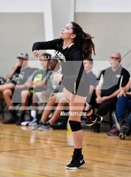 Thumbnail 3 in Shorecrest Prep vs St Petersburg Catholic (Keswick Invitational) photogallery.