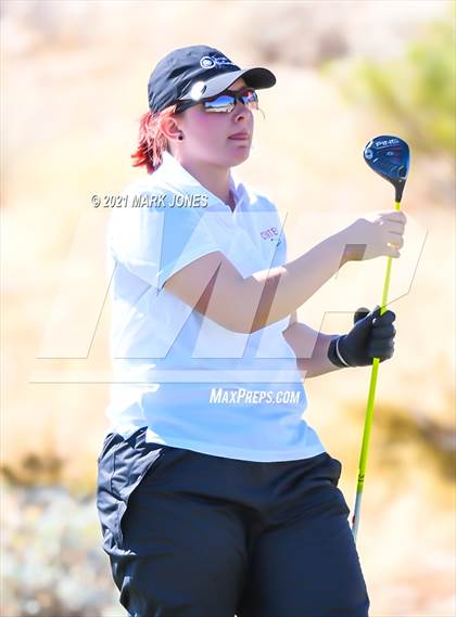 Thumbnail 3 in AIA D2 Golf State Championship photogallery.