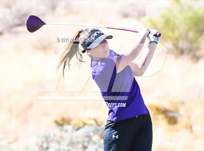 Thumbnail 3 in AIA D2 Golf State Championship photogallery.