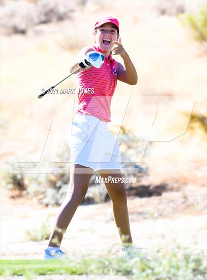 Thumbnail 3 in AIA D2 Golf State Championship photogallery.