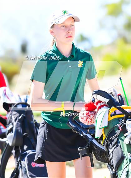 Thumbnail 1 in AIA D2 Golf State Championship photogallery.