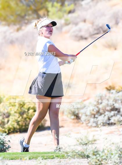 Thumbnail 1 in AIA D2 Golf State Championship photogallery.