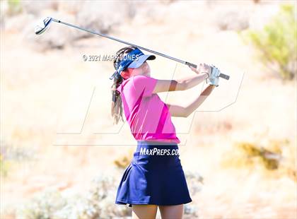 Thumbnail 2 in AIA D2 Golf State Championship photogallery.