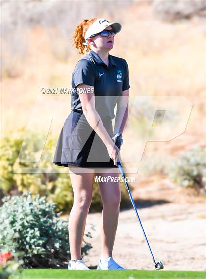 Thumbnail 1 in AIA D2 Golf State Championship photogallery.