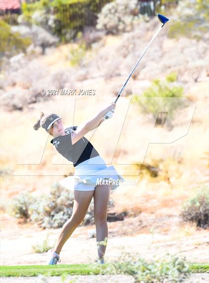 Thumbnail 2 in AIA D2 Golf State Championship photogallery.
