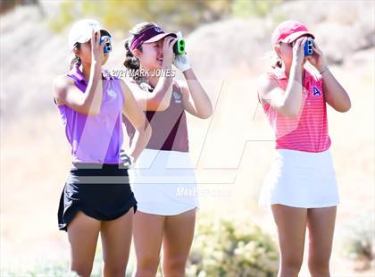 Thumbnail 3 in AIA D2 Golf State Championship photogallery.
