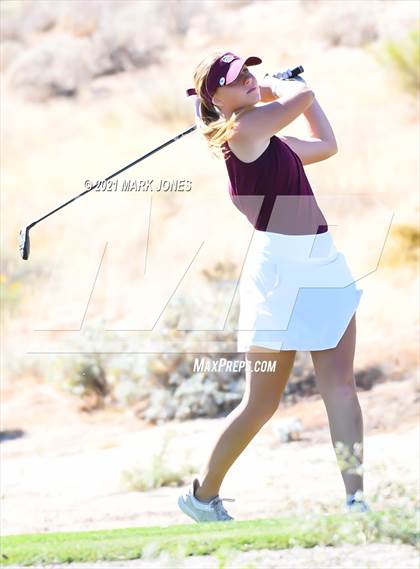 Thumbnail 1 in AIA D2 Golf State Championship photogallery.