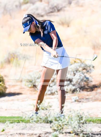 Thumbnail 2 in AIA D2 Golf State Championship photogallery.