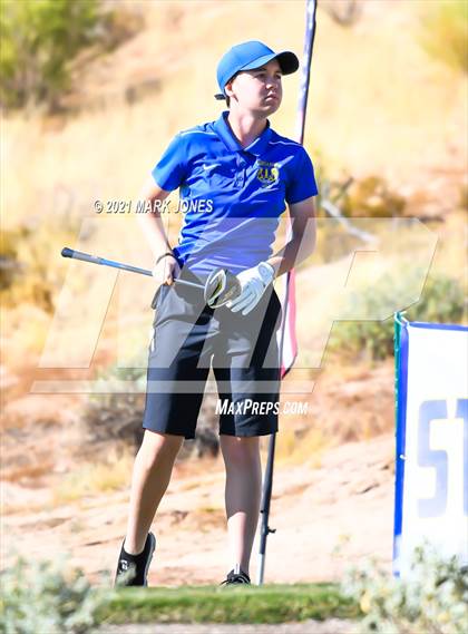 Thumbnail 1 in AIA D2 Golf State Championship photogallery.
