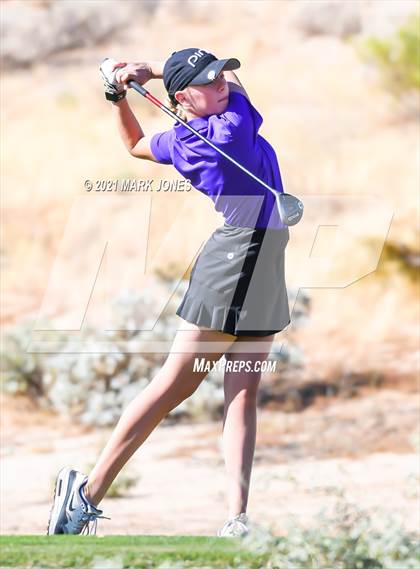 Thumbnail 2 in AIA D2 Golf State Championship photogallery.