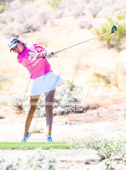 Thumbnail 3 in AIA D2 Golf State Championship photogallery.