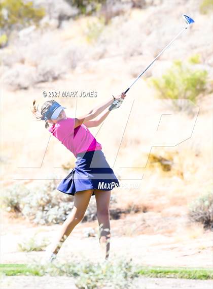Thumbnail 1 in AIA D2 Golf State Championship photogallery.